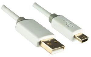 244487 Dinic USB 2.0 auf Mini-USB Kabel 2m weiß Blister - Perspektive