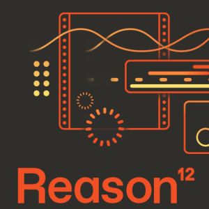 246031 Reason Studios - Reason 12 Upgrade all previous - Perspektive
