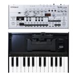 Roland Boutique TB-03 + K-25m Tastatur - Perspektive