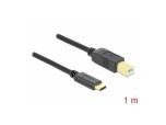 246176 Delock USB 2.0 Kabel Type-C zu Typ-B 1m - Perspektive